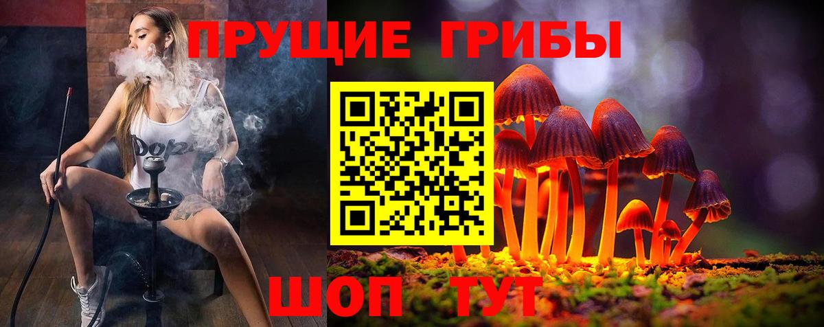 Галлюциногенные грибы прущие грибы  Вход с VPN  купить  цена  Кубинка  Галлюциногенные грибы мицелий 